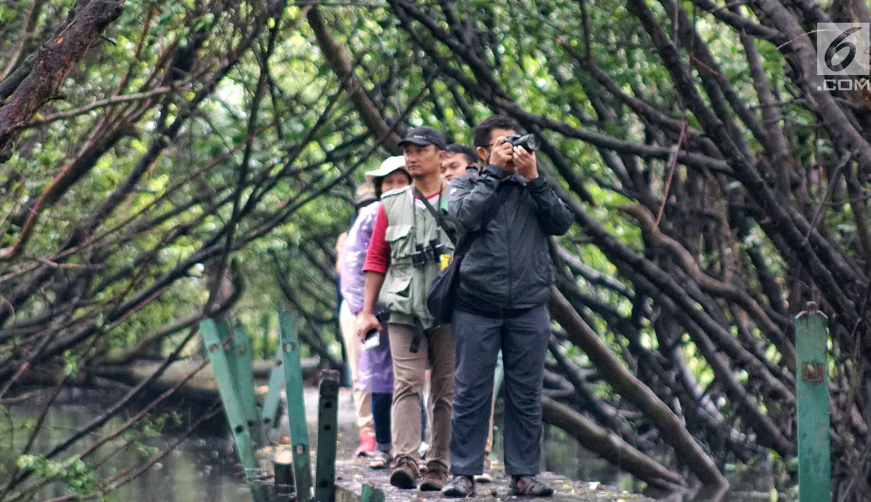 Komunitas pemerhati burung melakukan kegiatan Asian Waterbird Census 2019 di Hutan Lindung Angke Kapuk Jakarta, Sabtu (19/1). Kegiatan ini bertujuan memperkenalkan kekayaan keanekaragaman hayati Indonesia kepada generasi muda. (Liputan6.com/Fery Pradolo)