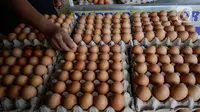 Pedagang menata telur ayam lokal dagangannya di pinggir jalan Pamulang Permai, Tangerang Selatan, Banten, Jumat (30/10/2020). Memasuki libur panjang pada pekan ini, harga telur dipasaran yang sebelumnya mencapai 23 ribu kini turun menjadi Rp 21 ribu per kilogram. (merdeka.com/Dwi Narwoko)