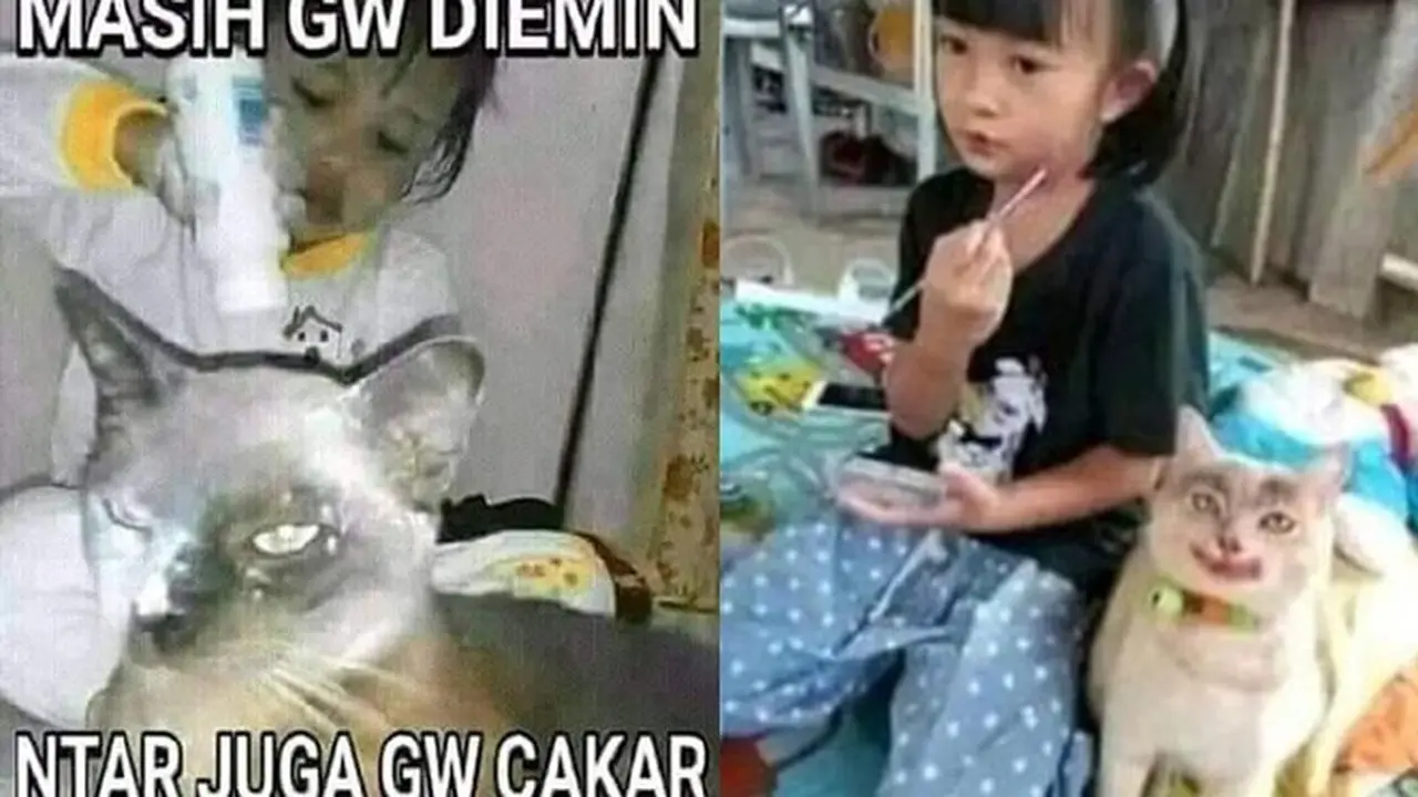 6 Tingkah Absurd Bocah Bareng Kucing Ini Bikin Tepuk Jidat