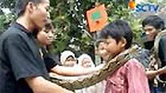 Beragam jenis ular tanpa sengaja sering dijumpai, bahkan tak jarang anda menemui ular yang berbisa. Ketakutan justru bisa berakibat fatal terkena gigitan ular.