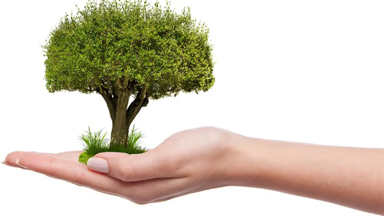 Green burial (0)