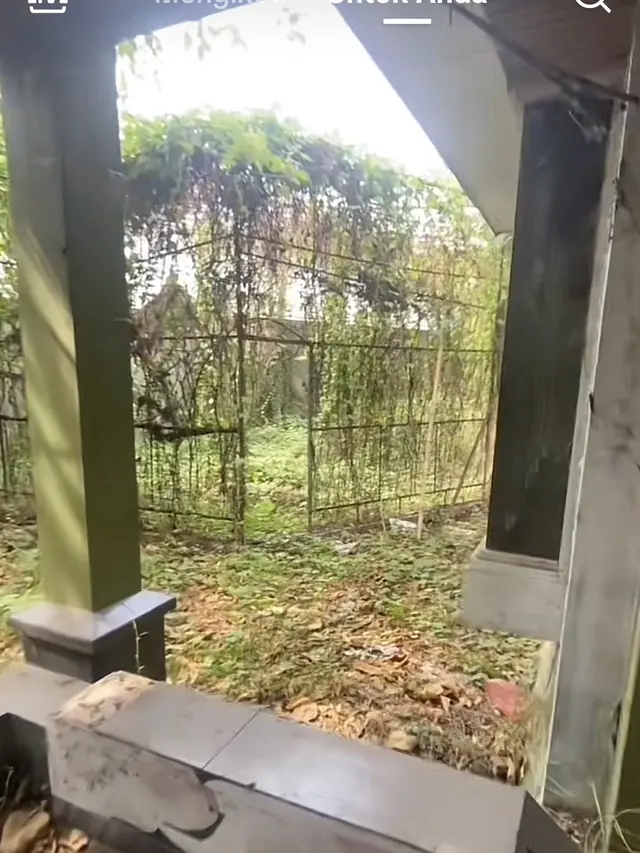 Gambaran halaman belakang rumah pada postingan Tiktok/@gerandong_tv