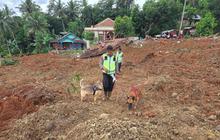 Potret Anjing Pelacak Polri, Dikerahkan untuk Pencarian Korban Longsor Cilacap
