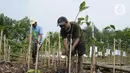 Luas ini merupakan 20 persen dari luas total seluruh hutan mangrove di dunia. (merdeka.com/imam buhori)