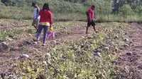Cerita Gunungkidul Bebas Kekeringan Berkat Wakaf Mata Air.