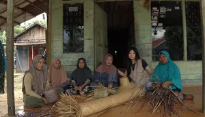 Ubah Purun Jadi Tech Organizer, Inovasi Hijau Selamatkan Gambut Kalimantan