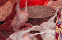 Harga Ayam Potong Tembus Rp90 Ribu, Pemprov DKI Bakal Lakukan Ini