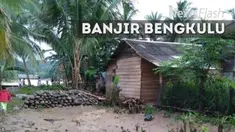  Hujan lebat tiga hari terakhir menyebabkan aliran Sungai Nasal di Kabupaten Kaur Bengkulu meluap. Akibatnya, sebanyak 110 rumah di Desa Suku III Kecamatan Nasal terendam.