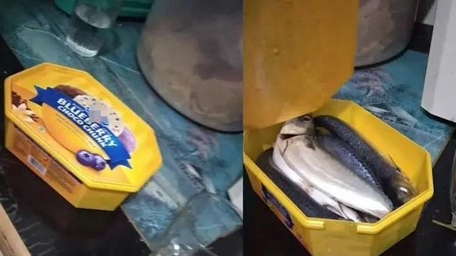 Kena Prank, 6 Potret Makanan Dalam Kemasan Ini Tak Sesuai Ekspektasi