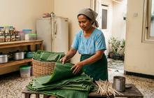 8 Cara Memilih Daun Pisang yang Cocok untuk Membungkus Lontong