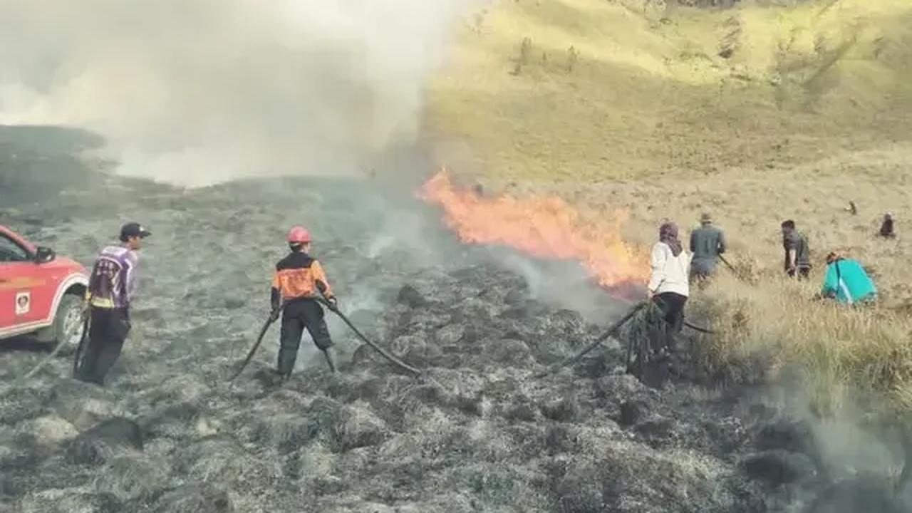 Baru-baru ini viral kejadian Blok Savana Watangan atau area Bukit Teletubbies Bromo kebakaran gara-gara flare saat calon pengantin melakukan foto prewedding. Kebakaran hebat terjadi hingga api meluas.