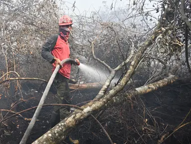 Seorang petugas pemadam kebakaran berupaya melakukan pemadaman di tengah pekatnya asap kebakaran di Kampar, provinsi Riau pada 17 September 2019. Kebakaran hutan dan lahan (karhutla) yang masih terjadi membuat sejumlah wilayah di Provinsi Riau terpapar kabut asap. (ADEK BERRY / AFP)