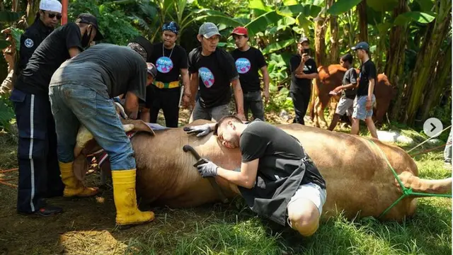 Raffi Ahmad dan sapi Ontoseno yang dikurbankan pada hari raya Idul Adha 1443 H. (Instagram @raffinagita1717)