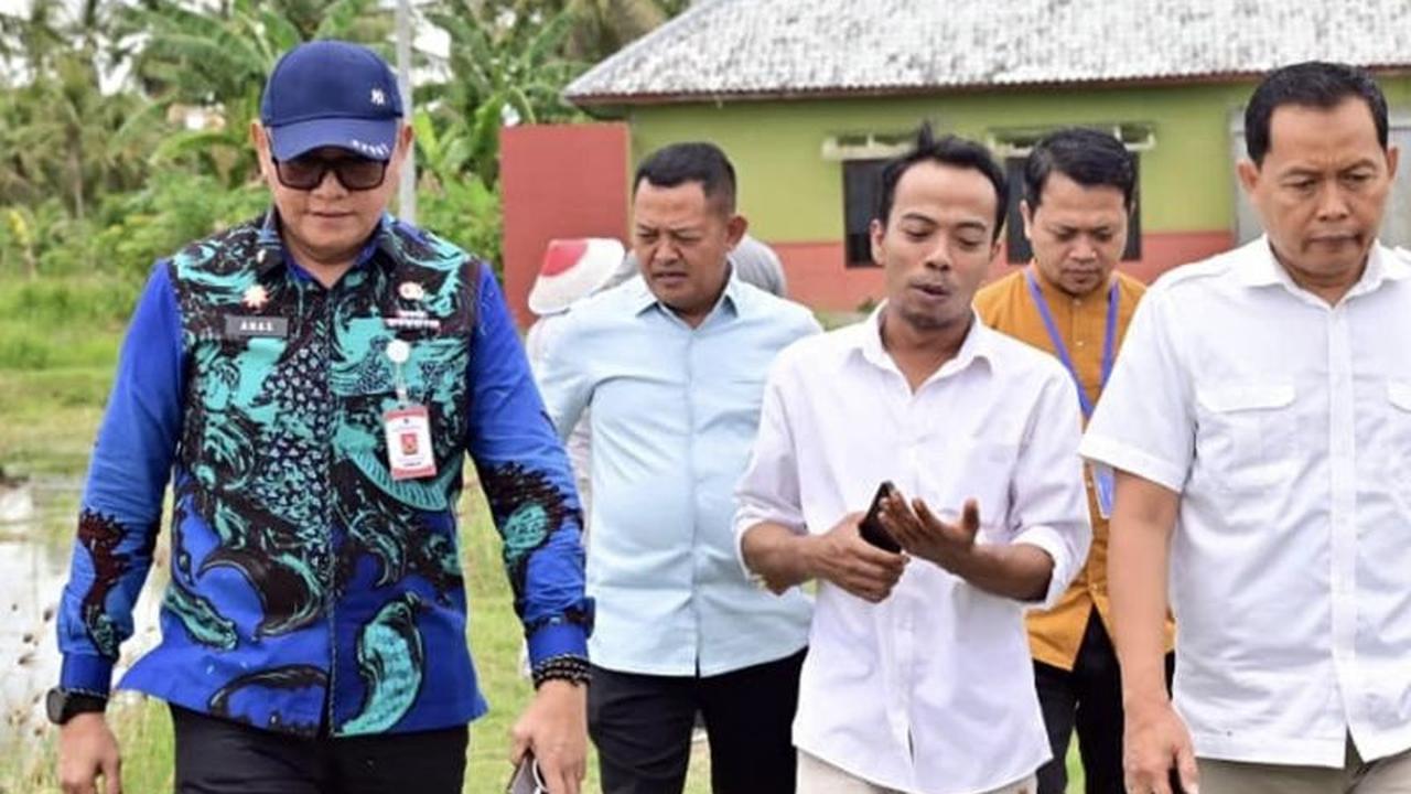 Tahukah Anda? Padi Biosalin Lampung Selatan Ubah Lahan Tambak Asin Jadi Sawah Produktif, Solusi Petani Pesisir!