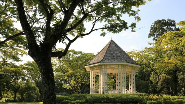 Singapore Botanic Gardens