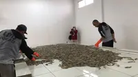 Pengusaha Pede Udang Indonesia Terbebas Tuduhan Tarif Anti-Dumping AS