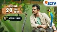 Saksikan Panji Petualang 911 Tayang Minggu 5 Maret 2023 Siang Via Live Streaming SCTV di Sini
