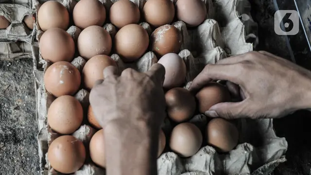 Harga Telur Ayam Terus Meroket