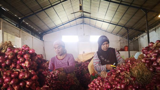 Sebanyak 165 ton bawang merah Probolinggo dilepas menuju negara Thailand. Kementerian Pertanian melalui Balai Karantina Pertanian Surabaya bersama PT. Cipta Makmur Sentausa melakukan ekspor perdana tahun 2019 bawang merah dari Probolinggo.