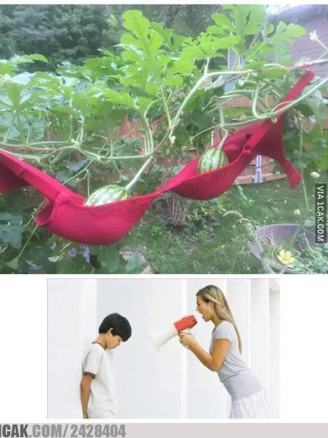 6 Cara Nyeleneh Orang Berkebun Ini Bikin Tepuk Jidat