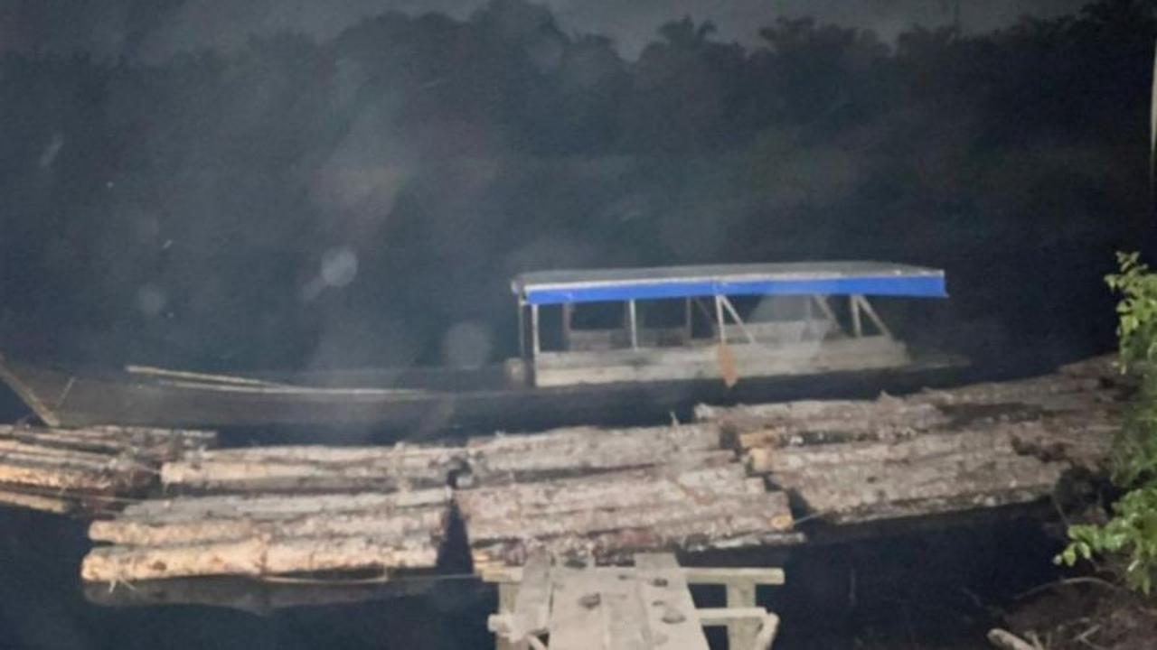 Polres Bengkalis Ungkap Jaringan Penebangan Liar Kayu Mahang, Tiga Pelaku Ditangkap