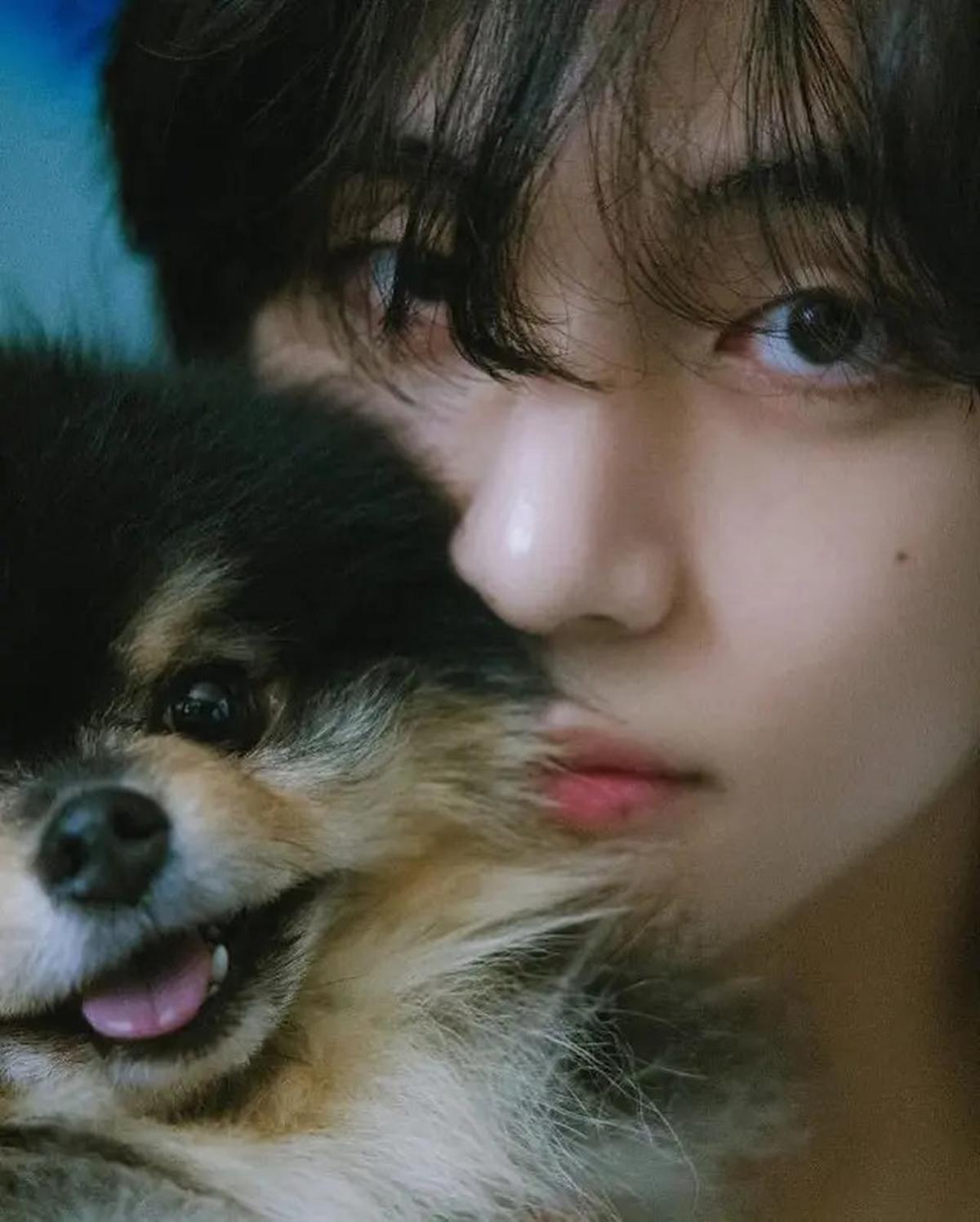 6 Potret Kenangan V BTS dan Yeontan Anjingnya yang Meninggal, ARMY Ikut Sedih