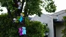 Sejumlah mainan lembut diletakkan di pohon di Canberra, Australia (30/3/2020). Masyarakat di Australia melakukan inisiatif berburu boneka beruang dan mainan lainnya di jendela, pohon, dan balkon untuk memberikan kejutan social distancing terutama anak-anak selama pandemi COVID-19. (Xinhua/Chu Chen)