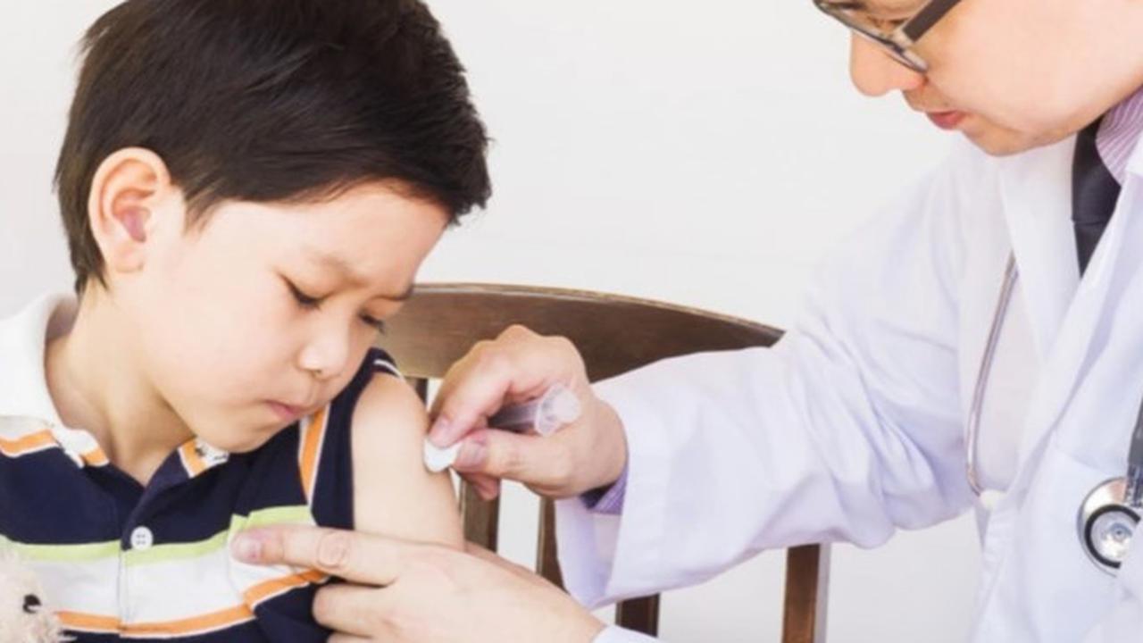 Jadi Wilayah Penyebaran Nyamuk Culex, Ini Kata Guru Besar UGM Terkait Bahaya Virus Japanese Encephalitis