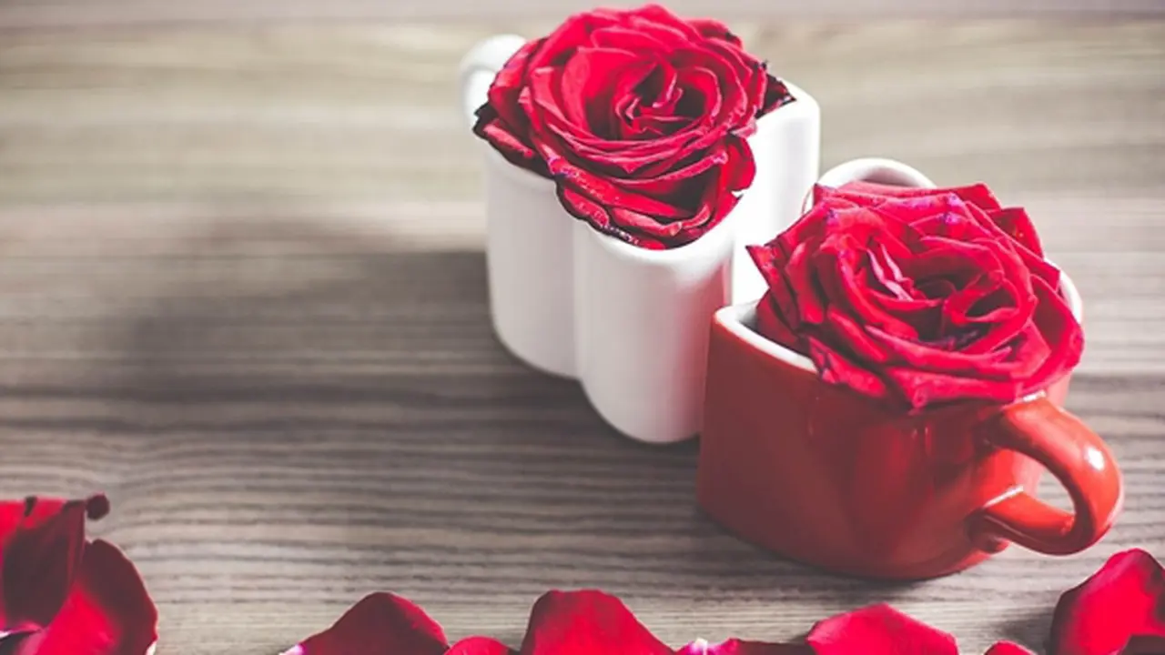 Foto: copyright picjumbo.com