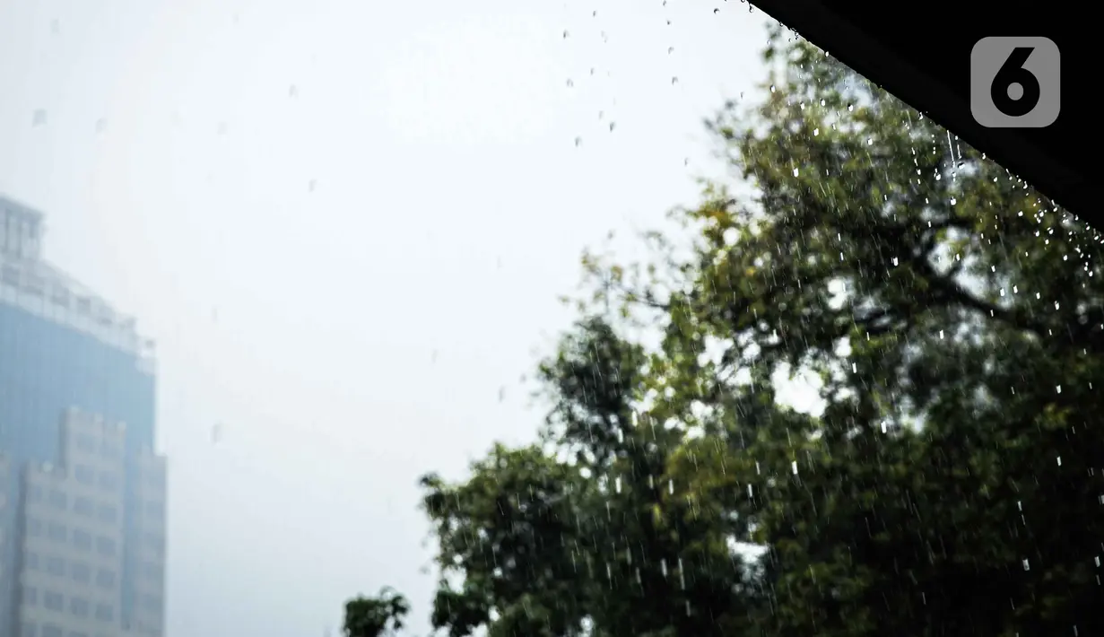 Hujan deras megguyur kawasan Patung Kuda, Jakarta, Kamis (21/10/2021). Puncak musim hujan diperkirakan akan terjadi pada bulan Desember-Januari. (Liputan6.com/Faizal Fanani)