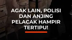 Polisi Ekuador menggagalkan pengiriman 1,2 ton kokain ke Eropa yang disamarkan dengan cara meresapkan narkoba ke 1.080 kardus buah. Anjing pelacak membantu mengungkap muatan mencurigakan di Pelabuhan Guayaquil yang diperkirakan bernilai hingga US$58,57 juta di pasar Eropa.