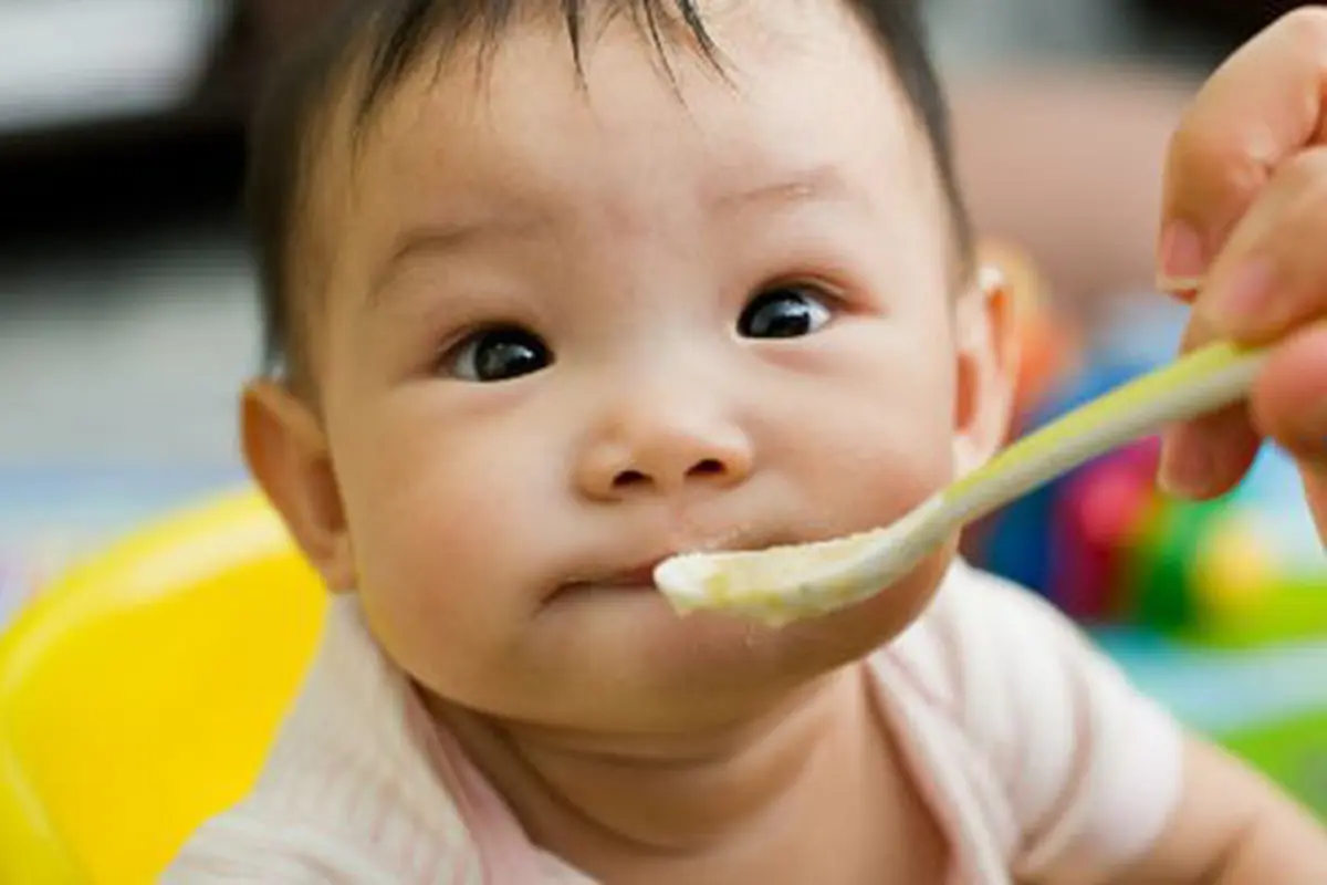 copyright shutterstock.com
