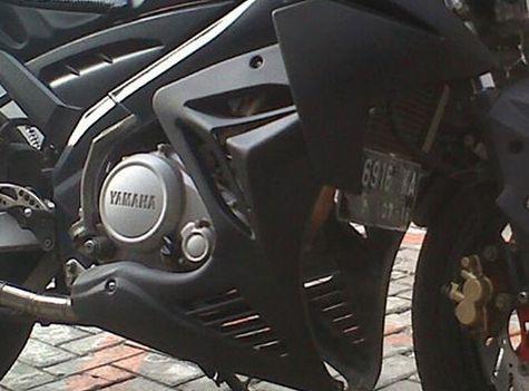 Half dan Sayap