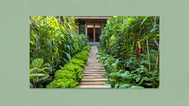 Inspirasi Rumah dengan Kebun Pangan Mengelilingi Teras (AI)
