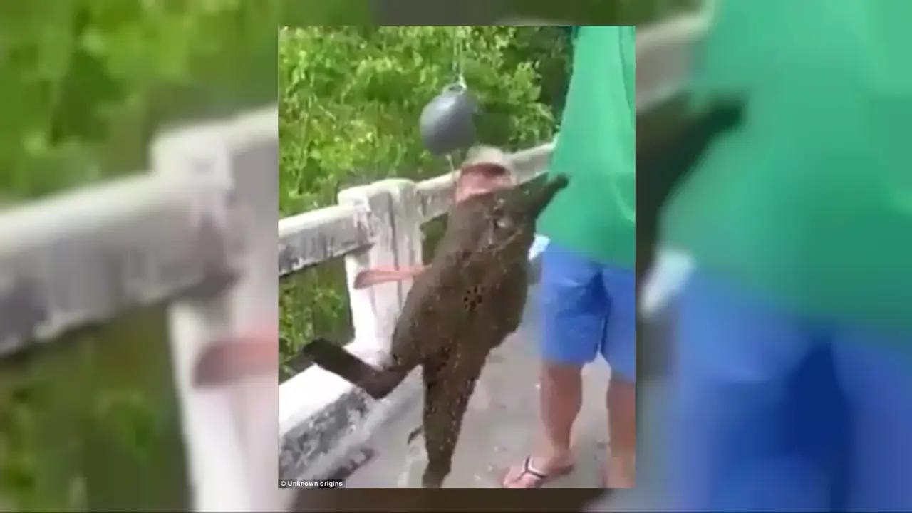 Geger Nelayan Tangkap Ikan Berkaki Mirip Kelelawar