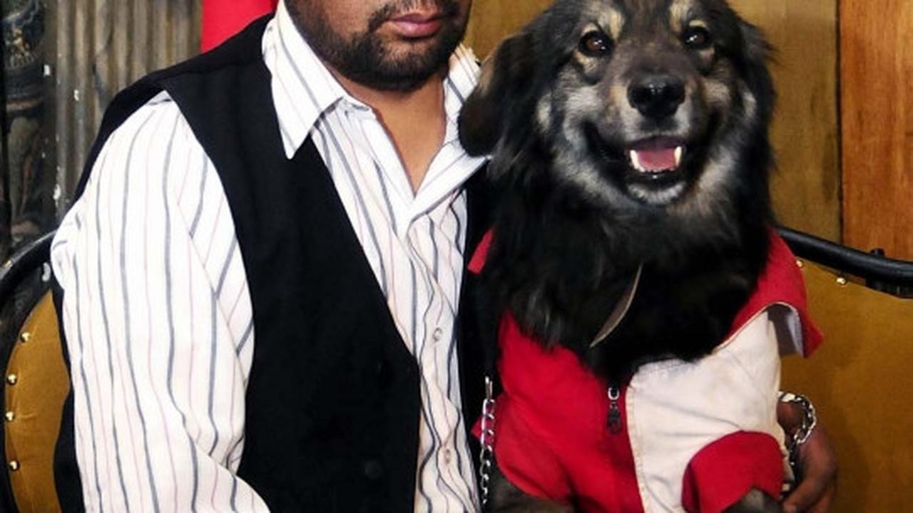 Anjing ini jadi simbol penolakan rakyat Bolivia atas Evo Morales