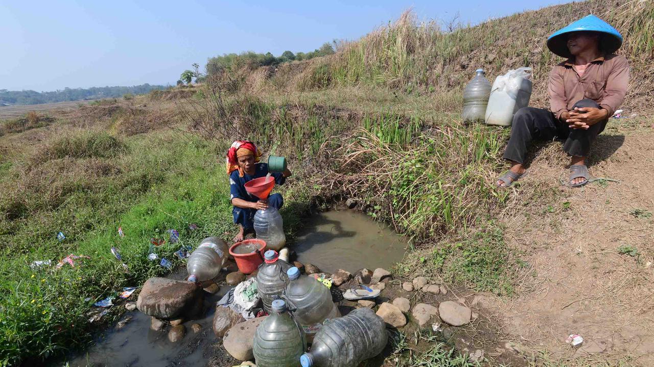 Warga Bertahan dari Kubangan Bekas Sawah di Tengah Kekeringan