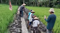 Pemerintah Desa Loh Sumber, Kecamatan Loa Kulu, Kutai Kartanegara gencar membangun infrastruktur pertanian berupa jaringan irigasi untuk pertanian padi sawah.