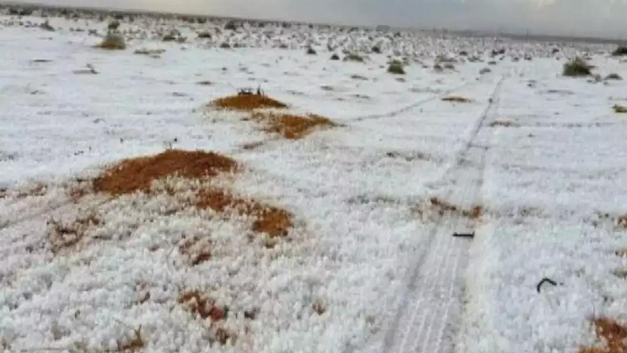 VIDEO Pertama dalam Sejarah, Hujan Salju Turun di Gurun Arab Saudi