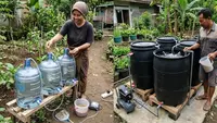 Perbandingan Ternak Lele dalam Galon vs Drum di Lahan Sempit: Mana yang Lebih Untung?