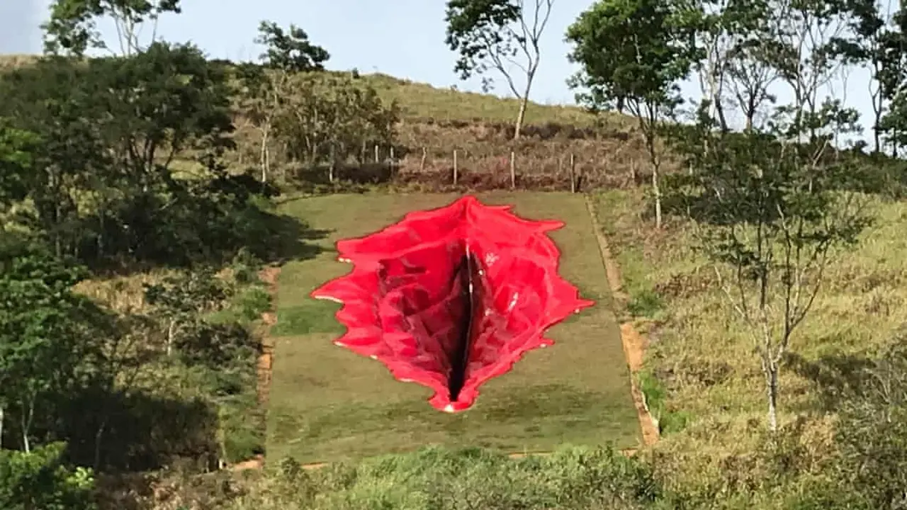 Seniman Juliana Notari memasang karya berjudul Diva di taman seni pedesaan di Pernambuco, Brasil.