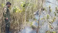 Taman Nasional Way Kambas Kembali Terbakar