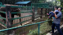 Seorang pengunjung menggendong bocah saat melihat gajah di Kebun Binatang Ragunan, Jakarta, Sabtu (16/6). Kebun Binatang Ragunan masih menjadi tempat favorit warga Jakarta untuk menghabiskan libur Lebaran. (Liputan6.com/JohanTallo)