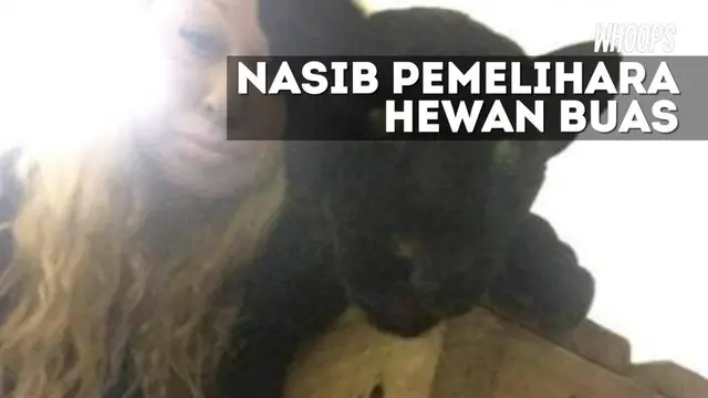 WHOOPS: Nasib Tragis Wanita yang Pelihara Hewan Buas di Rumah 