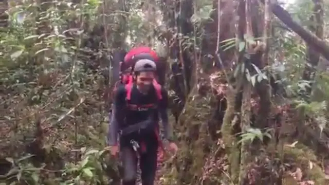 Pendaki di Gunung Sumbing Jambi https://youtu.be/7IxUWbEfK34?si=vD29UOyBxWAg-69v