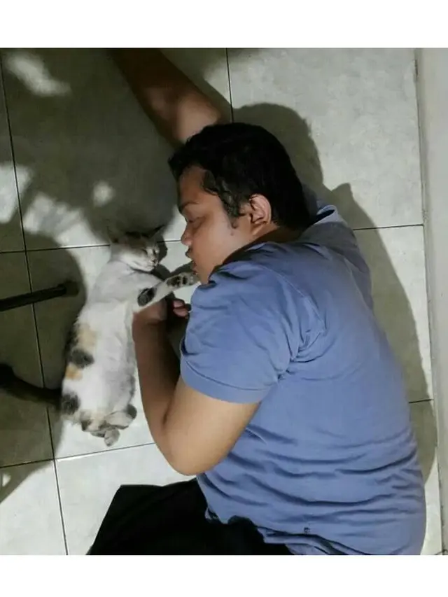 Kelakuan Orang Kelewat Sayang dengan Kucing Ini Bikin Geleng-Geleng
