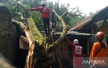 Tahukah Anda? PMI Cianjur Terjunkan Relawan Lengkap Tangani Dampak Puting Beliung di Cibeber