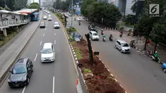 Kendaraan melintas di samping-pohon-pohon yang telah ditebang di Jalan Sudirman, Jakarta, Jumat (9/3). Sebanyak 541 pohon di sepanjang Jalan Sudirman-Thamrin ditebang imbas penataan trotoar yang akan dimulai Pemprov DKI. (Liputan6.com/Arya Manggala)