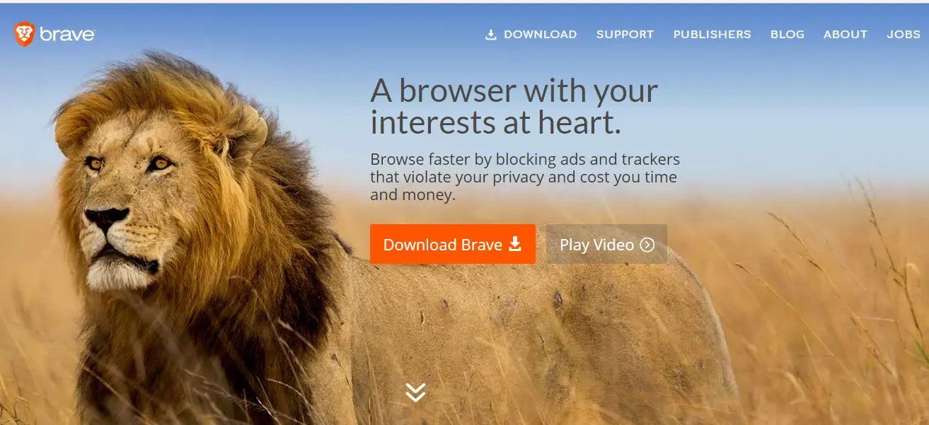 Web Browser Brave (Sumber: Brave)