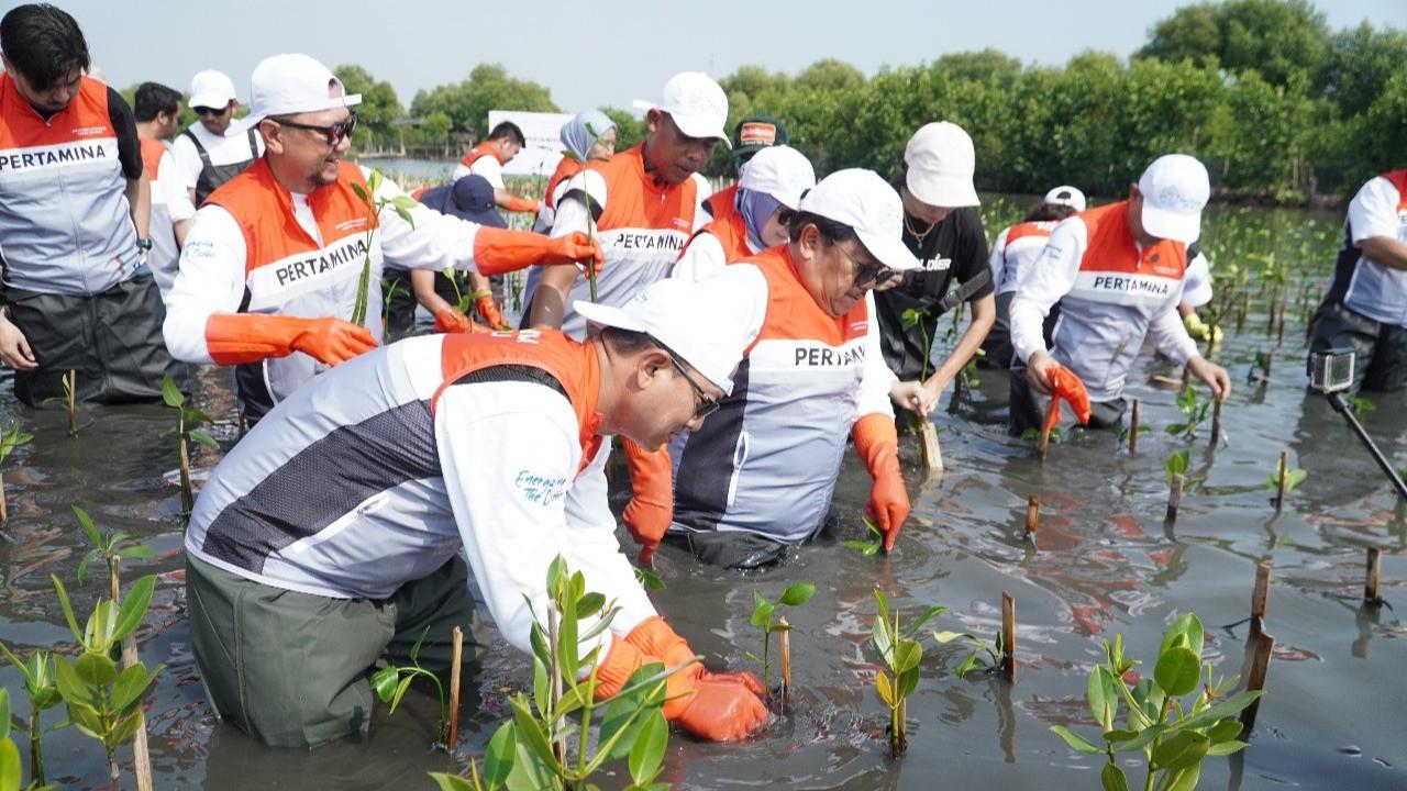 Pertamina dan Siswa SD Tanam Puluhan Ribu Mangrove di Pantai Tanjung Pasir